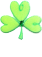 Little Shamrock 2
