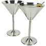 Set of 2 Endurance Martini Glasses 