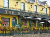 The Brandywell