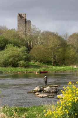 Fishing on the Banks of the River Shannon