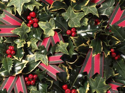 Holly, Ivy & Tartan Ribbon