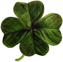 The Luck of the Irish: The Meaning and Significance of Four Leaf