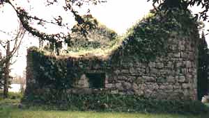 Reynolds Castle Ruins, Co. Leitrim