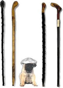 Hand-crafted traditional Irish one-piece Blackthorn Walking Sticks / Shillelaghs