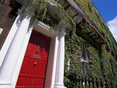 Red Door and Ivy Covered Building, St. Stephens Green, Dublin, Eire (Republic of Ireland)